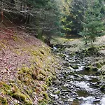 Rodzinny Carchla * Grzechynia