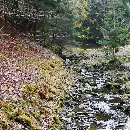 Rodzinny Carchla * Grzechynia