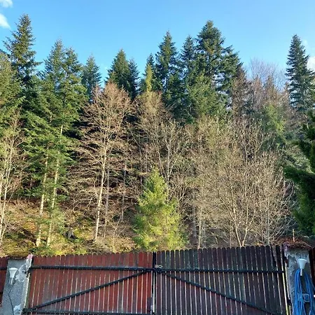 Rodzinny Carchla * Grzechynia