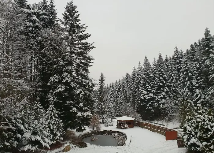 Σπίτι διακοπών Rodzinny Carchla *