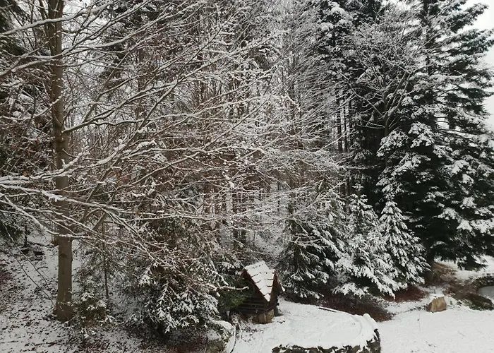 Σπίτι διακοπών Rodzinny Carchla Grzechynia