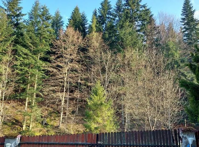 Rodzinny Carchla * Grzechynia